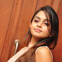 Sheena Shahabadi at Nuvve Naa Bangaram First Look Release Photos | Picture 599588